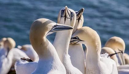 亚洲精品一区二区