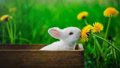 onlyfans深度揭秘：猛料风波背后，大V在粉丝见面会的角色极其令人意外